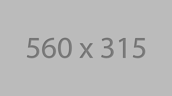 560-315